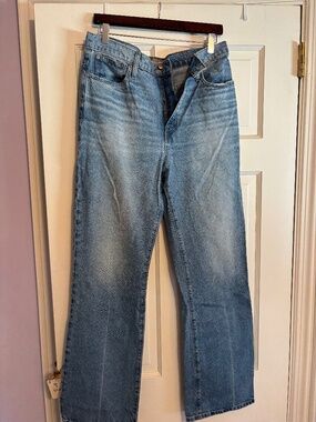 Jcrew High Rise Wide leg Point Sur jeans sz 10